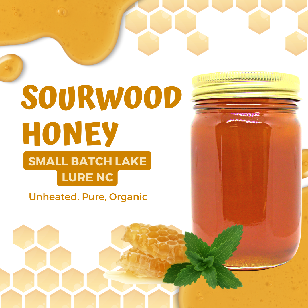 1LB Sourwood Honey