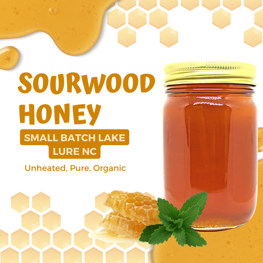 1LB Sourwood Honey